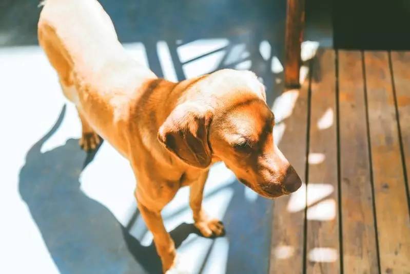 文殊·林舍，在麗江古城過著獨(dú)一無二的小日子