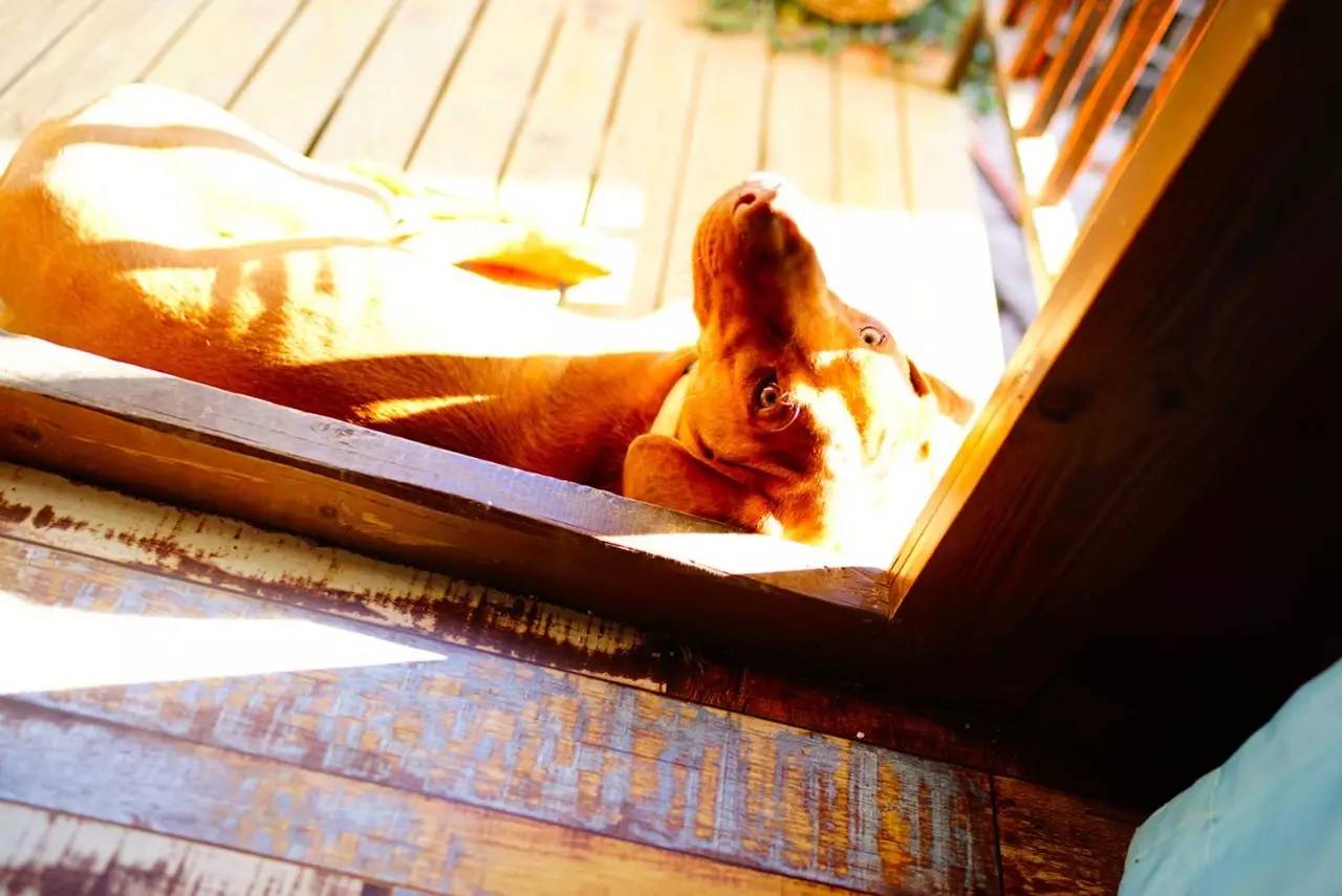 文殊·林舍，在麗江古城過著獨(dú)一無二的小日子