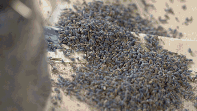 中國茶道禪茶館，茶乃人生樂事