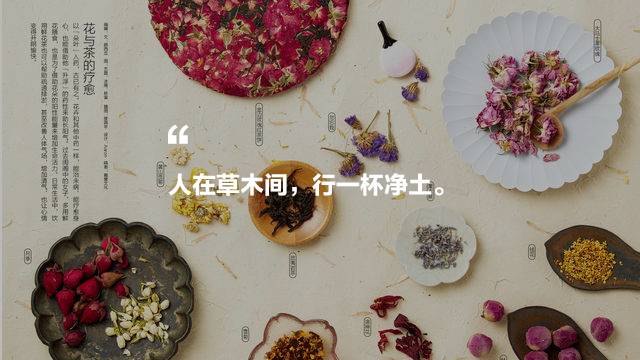 中國(guó)茶道禪茶館，茶乃人生樂事