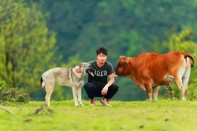 若丁山七號營地，無數(shù)人向往的“星空露營地”