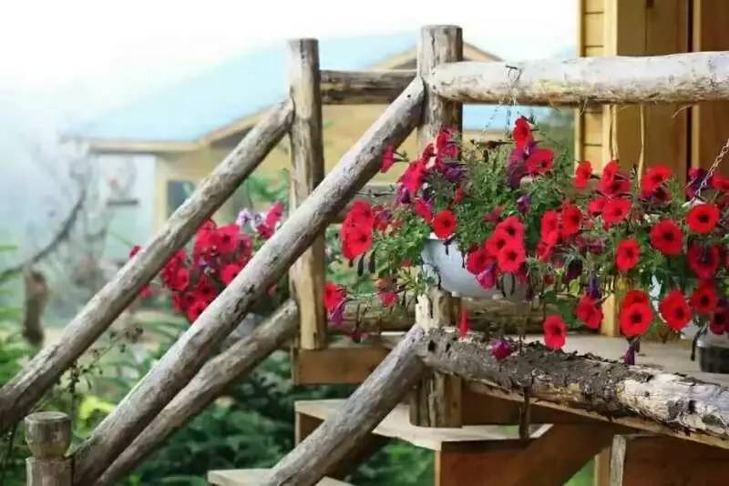 若丁山七號營地，無數(shù)人向往的“星空露營地”