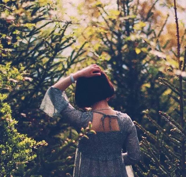 若丁山七號(hào)營地，無數(shù)人向往的“星空露營地”