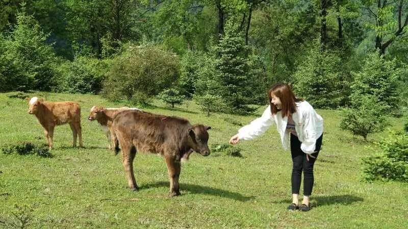 若丁山七號(hào)營(yíng)地，無(wú)數(shù)人向往的“星空露營(yíng)地”