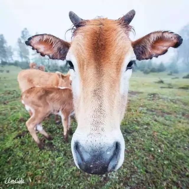 若丁山七號(hào)營(yíng)地，無(wú)數(shù)人向往的“星空露營(yíng)地”