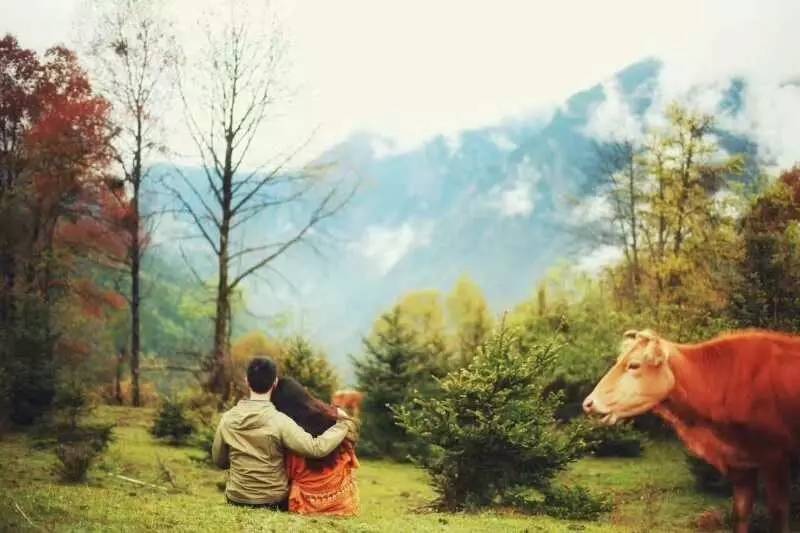 若丁山七號(hào)營(yíng)地，無(wú)數(shù)人向往的“星空露營(yíng)地”