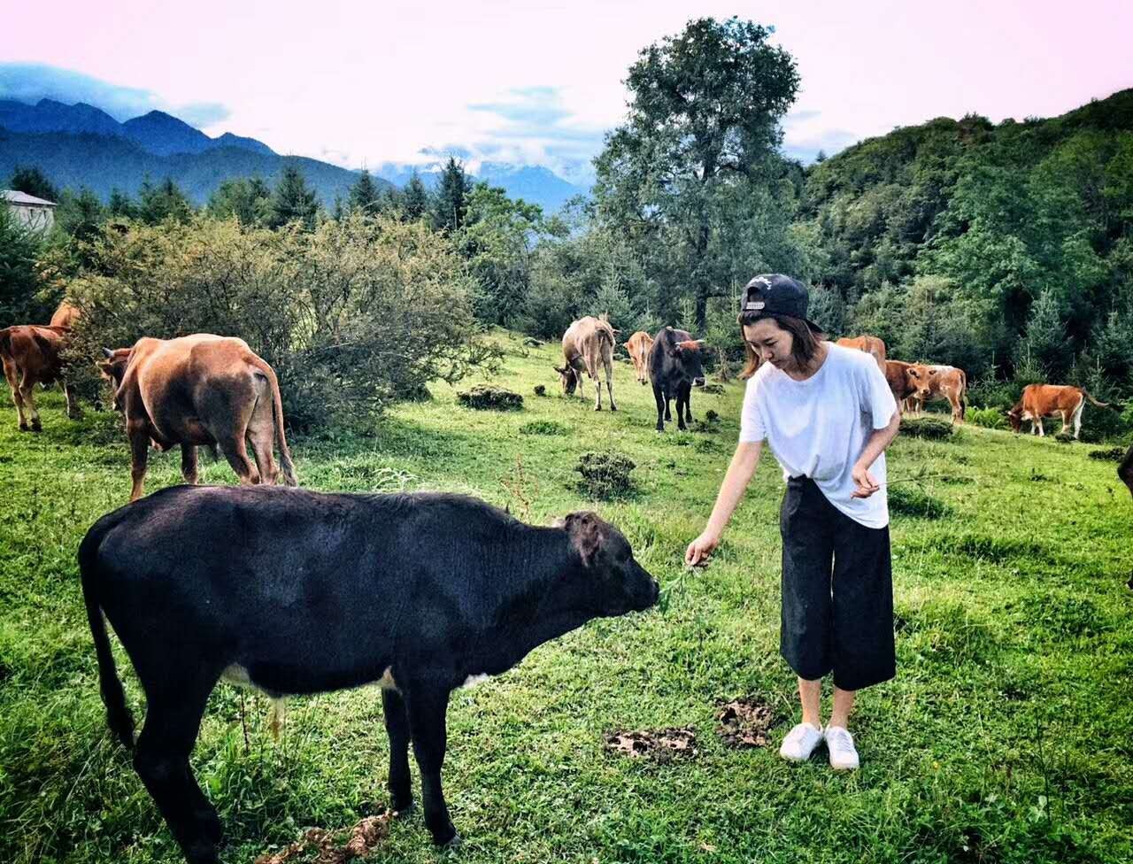 若丁山七號(hào)營(yíng)地，無(wú)數(shù)人向往的“星空露營(yíng)地”