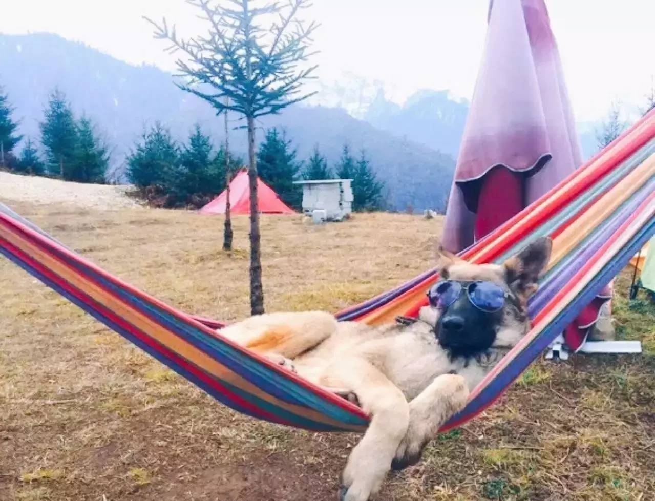 若丁山七號(hào)營(yíng)地，無(wú)數(shù)人向往的“星空露營(yíng)地”