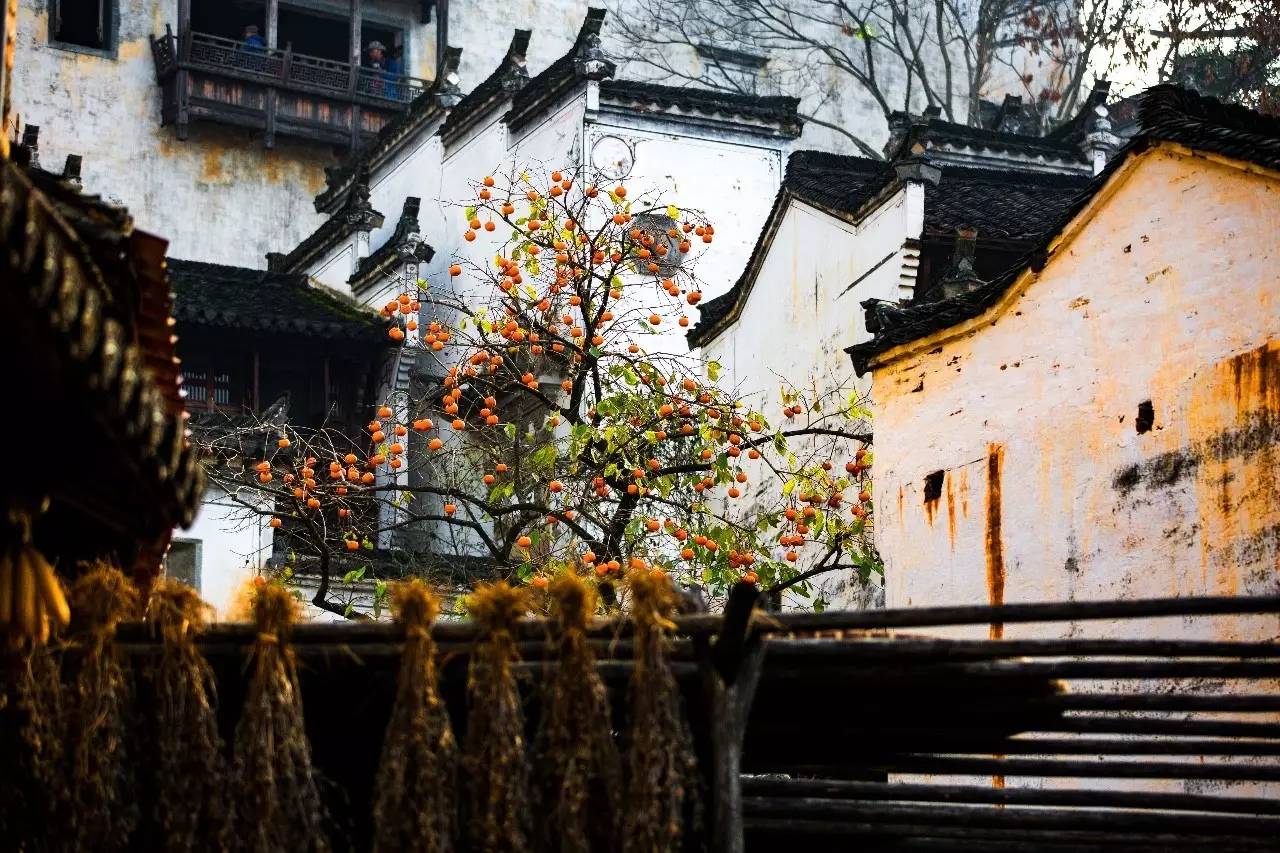 墅家墨娑西沖院，活了的老宅訴說舊日的時(shí)光