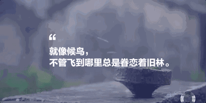 墅家墨娑西沖院，活了的老宅訴說舊日的時(shí)光