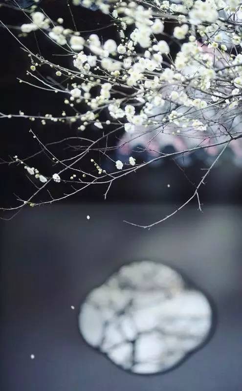 中式庭院設(shè)計(jì)，中國(guó)人內(nèi)心的歸屬