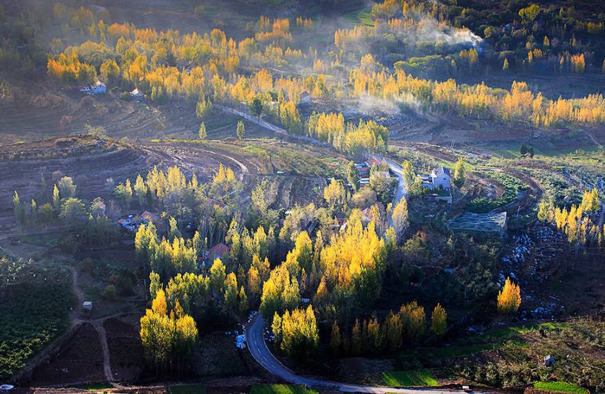 沂蒙山舍，呼吸大自然“臥聽松嘯 伴山而眠”