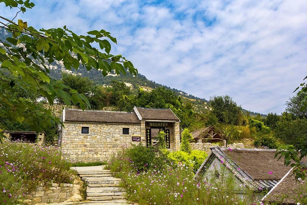 沂蒙山舍，呼吸大自然“臥聽松嘯 伴山而眠”