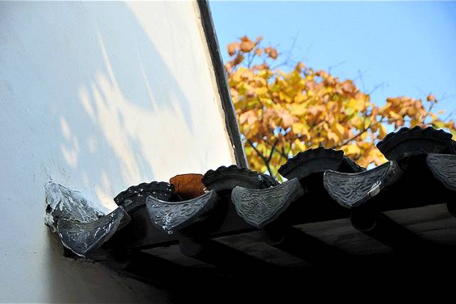 中國人在秋天的九種情調(diào)，唯美古風句子