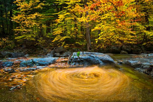 中國(guó)人在秋天的九種情調(diào)，唯美古風(fēng)句子