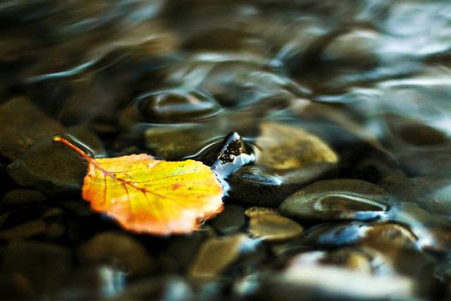 中國(guó)人在秋天的九種情調(diào)，唯美古風(fēng)句子