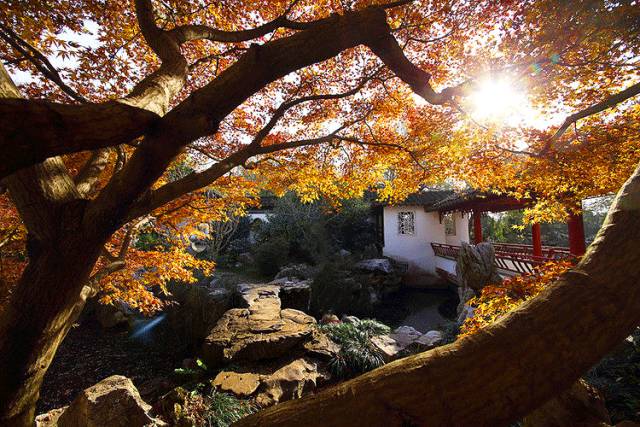 中國(guó)人在秋天的九種情調(diào)，唯美古風(fēng)句子