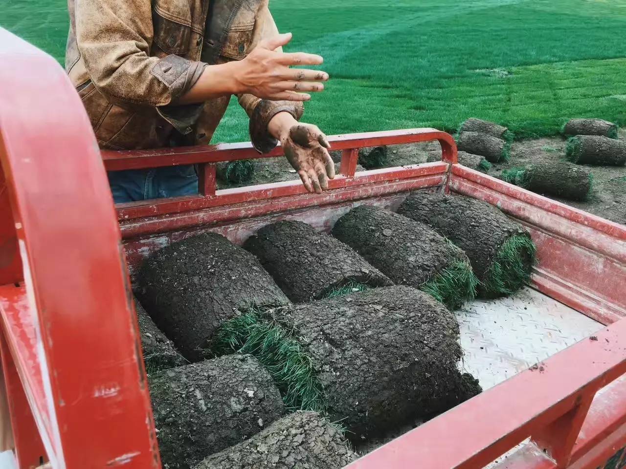 大理吾居，吾之居所無拘無束