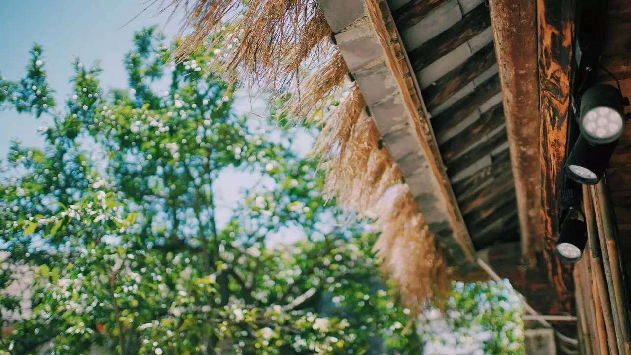 大理吾居，吾之居所無拘無束