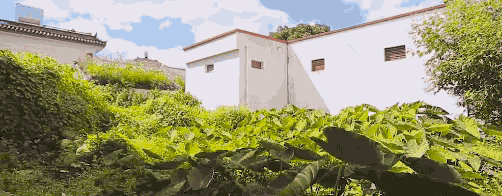 大理吾居，吾之居所無拘無束