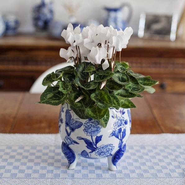 青花瓷，最美是青花!