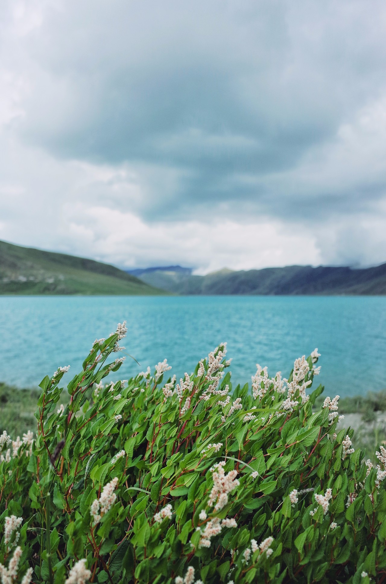 拉薩香格里拉酒店，睡在世界屋脊之上