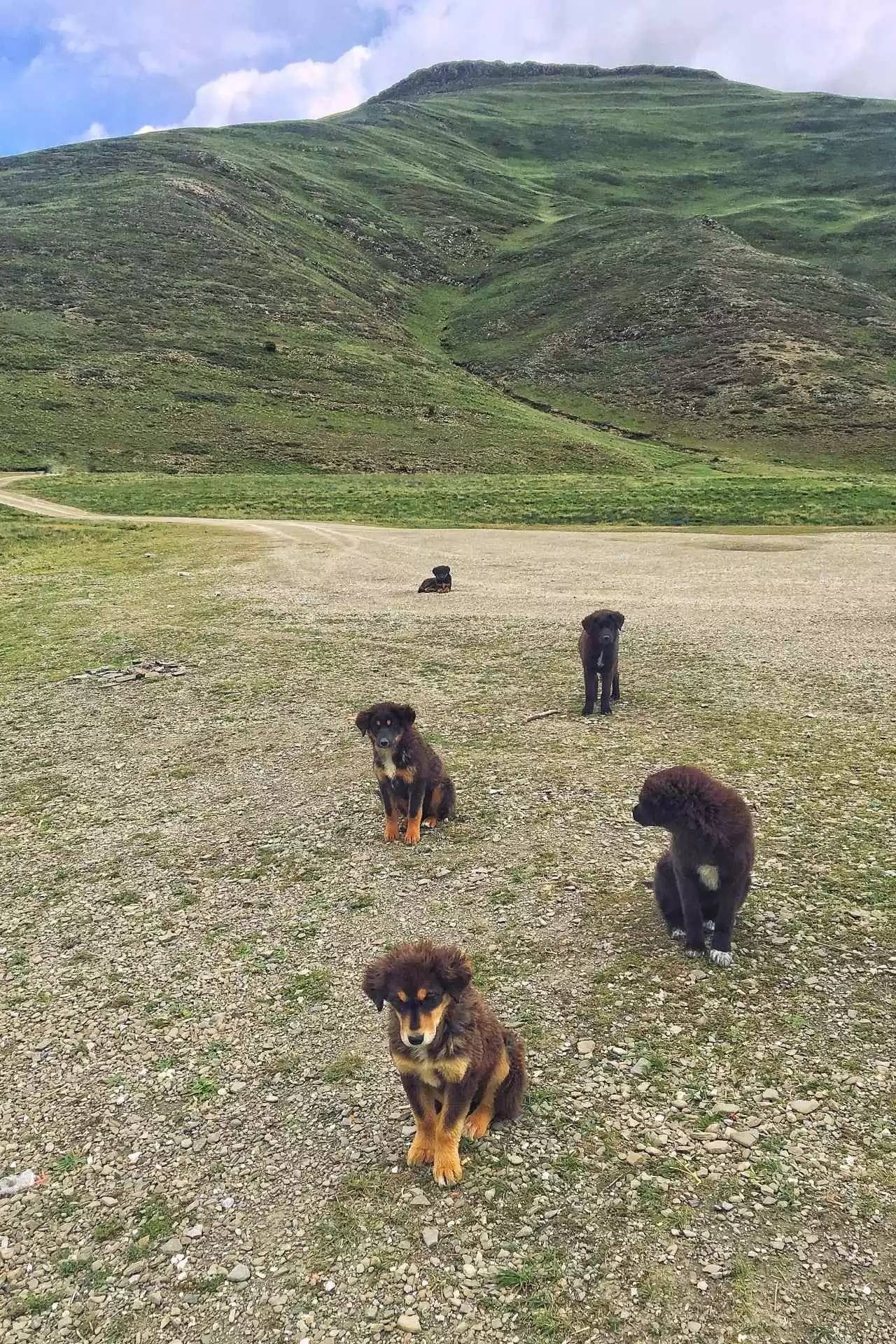 拉薩香格里拉酒店，睡在世界屋脊之上