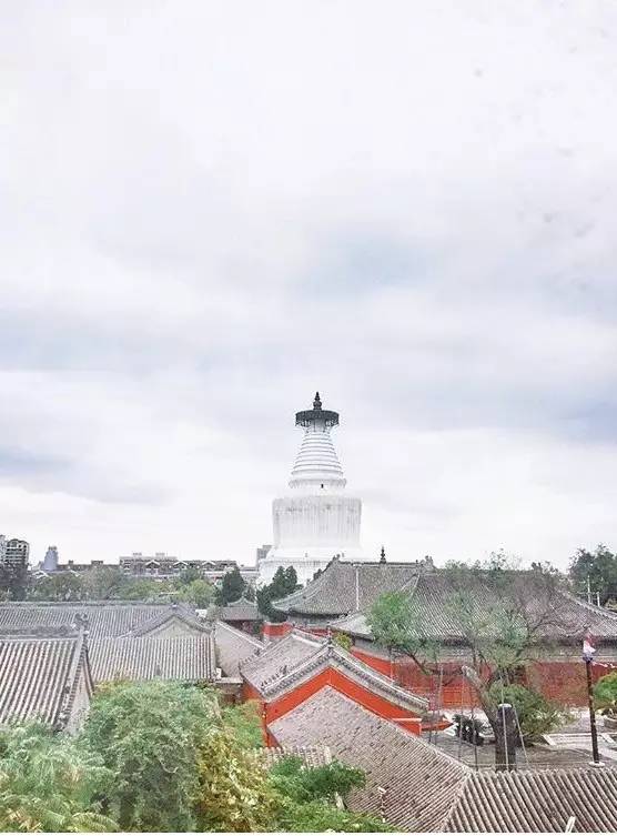 種類繁多的中國佛塔，佛教文化博大精深