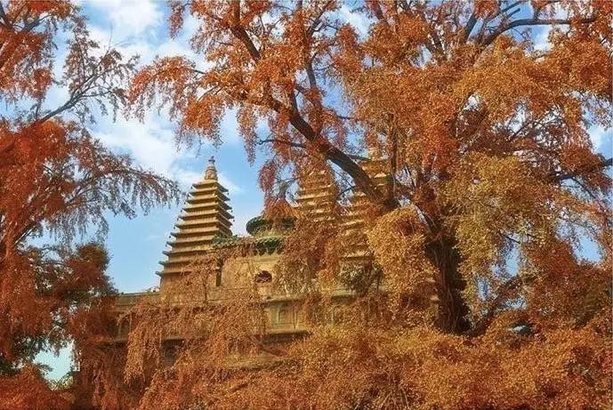 種類繁多的中國佛塔，佛教文化博大精深