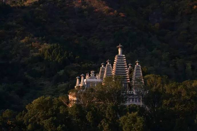 種類繁多的中國(guó)佛塔，佛教文化博大精深