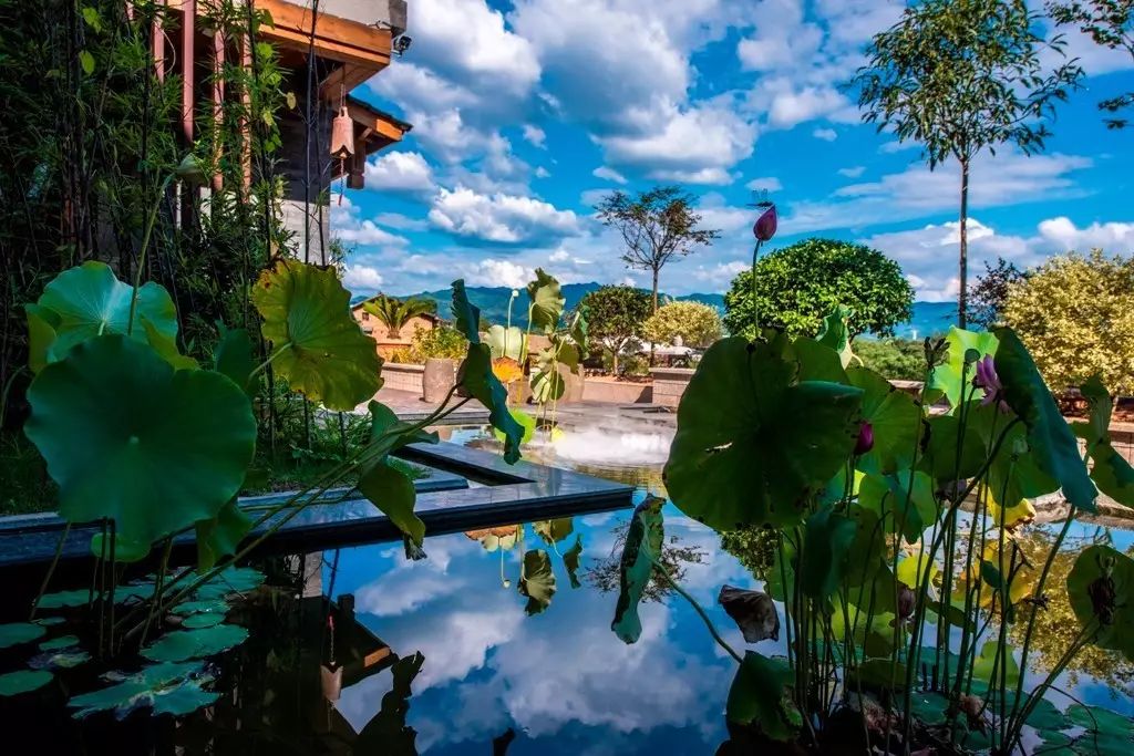 茶隱山房，以茶會(huì)友隱逸塵世