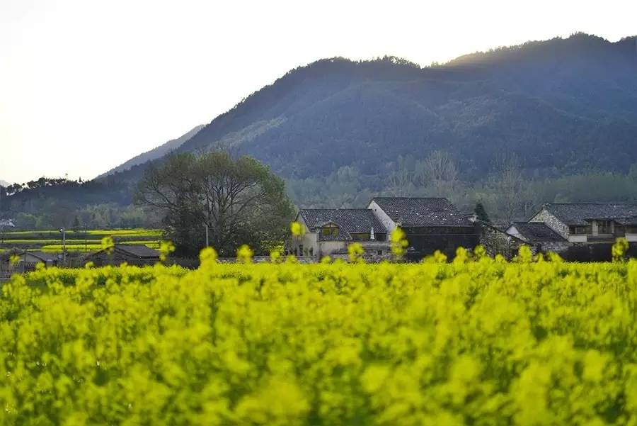 關(guān)麓小筑，修繕一棟百年老宅