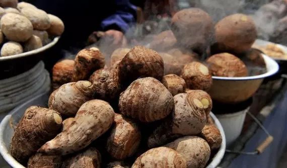 棲霞山居，溪流環(huán)繞在古村落捕魚看霞光