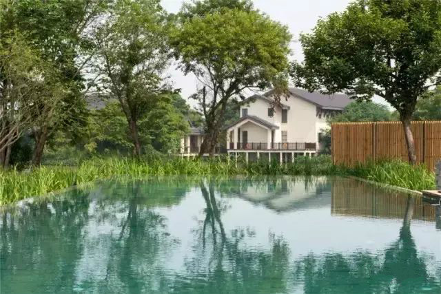 西溪濕地三款最美避世酒店，果然一派驚艷