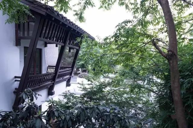 西溪濕地三款最美避世酒店，果然一派驚艷