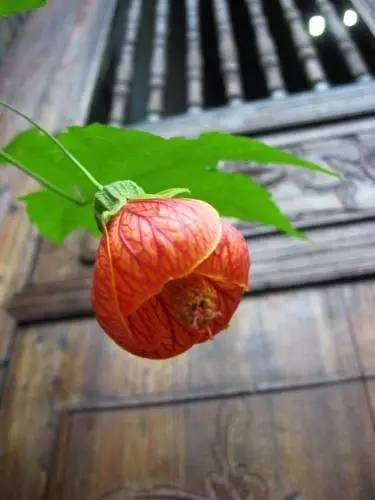 陽(yáng)朔明清老宅院，留一份純真質(zhì)樸回歸本真