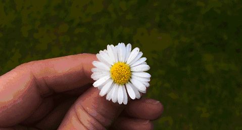 22款與秋相關(guān)的唯美句子，唯美古風(fēng)句子