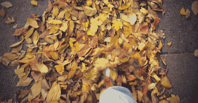 22款與秋相關(guān)的唯美句子，唯美古風(fēng)句子