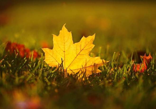 22款與秋相關(guān)的唯美句子，唯美古風(fēng)句子