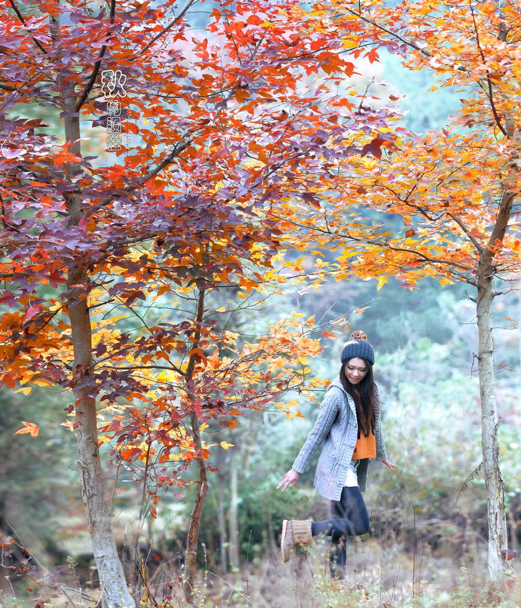 22款與秋相關(guān)的唯美句子，唯美古風(fēng)句子