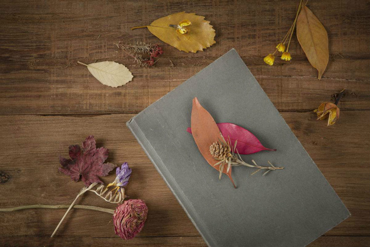 22款與秋相關(guān)的唯美句子，唯美古風(fēng)句子