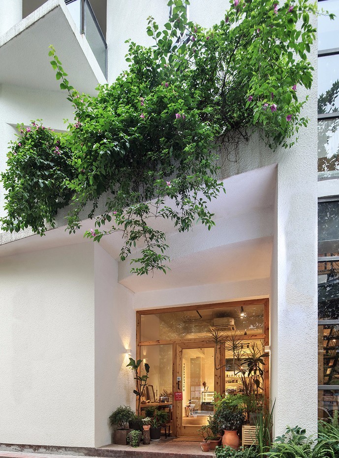 北京懷柔白鳥集，飛翔的白鳥我在等你乘風(fēng)歸來