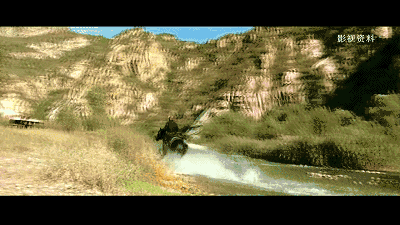 北京懷柔白鳥集，飛翔的白鳥我在等你乘風(fēng)歸來