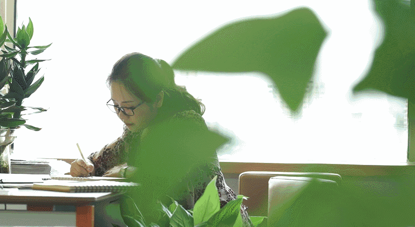 北京懷柔白鳥集，飛翔的白鳥我在等你乘風(fēng)歸來