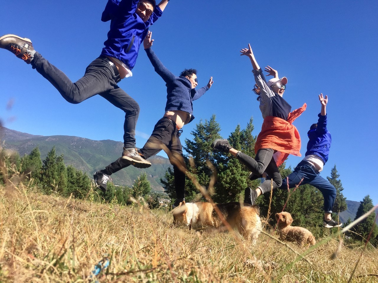 麗江束河聚寶齋民宿，告別曾經邂逅未來的美麗