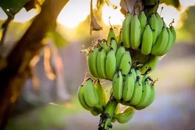 Airbnb上民宿，遇見你日子原來這么美妙