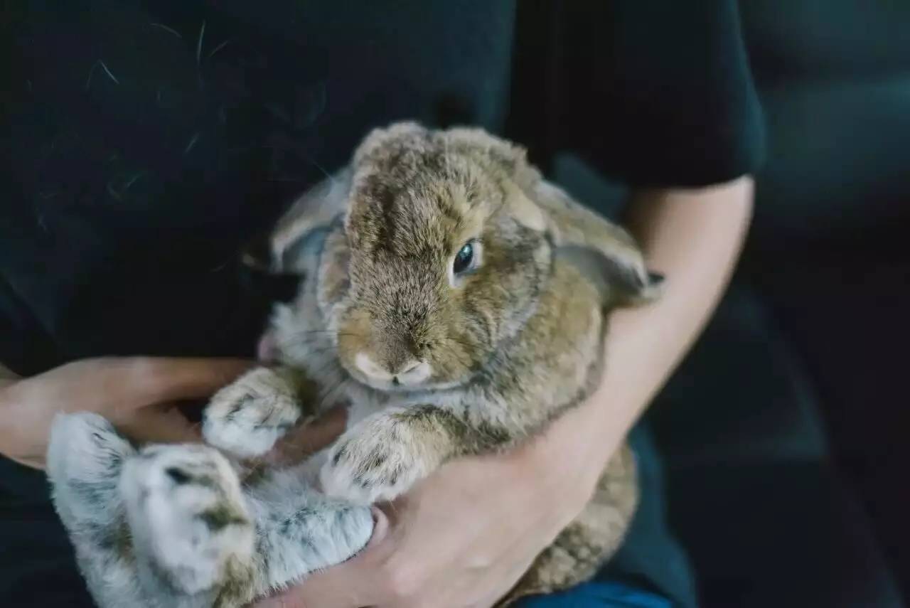 Airbnb上民宿，遇見你日子原來這么美妙