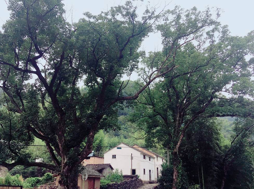 杭州·天方夜潭，給你一個「山脊之巔」的舞臺