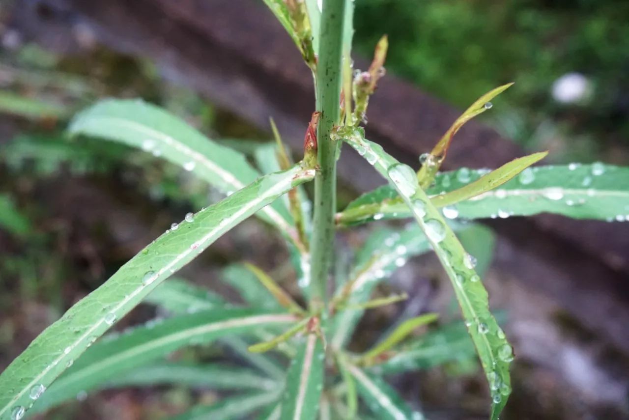 杭州·天方夜潭，給你一個「山脊之巔」的舞臺