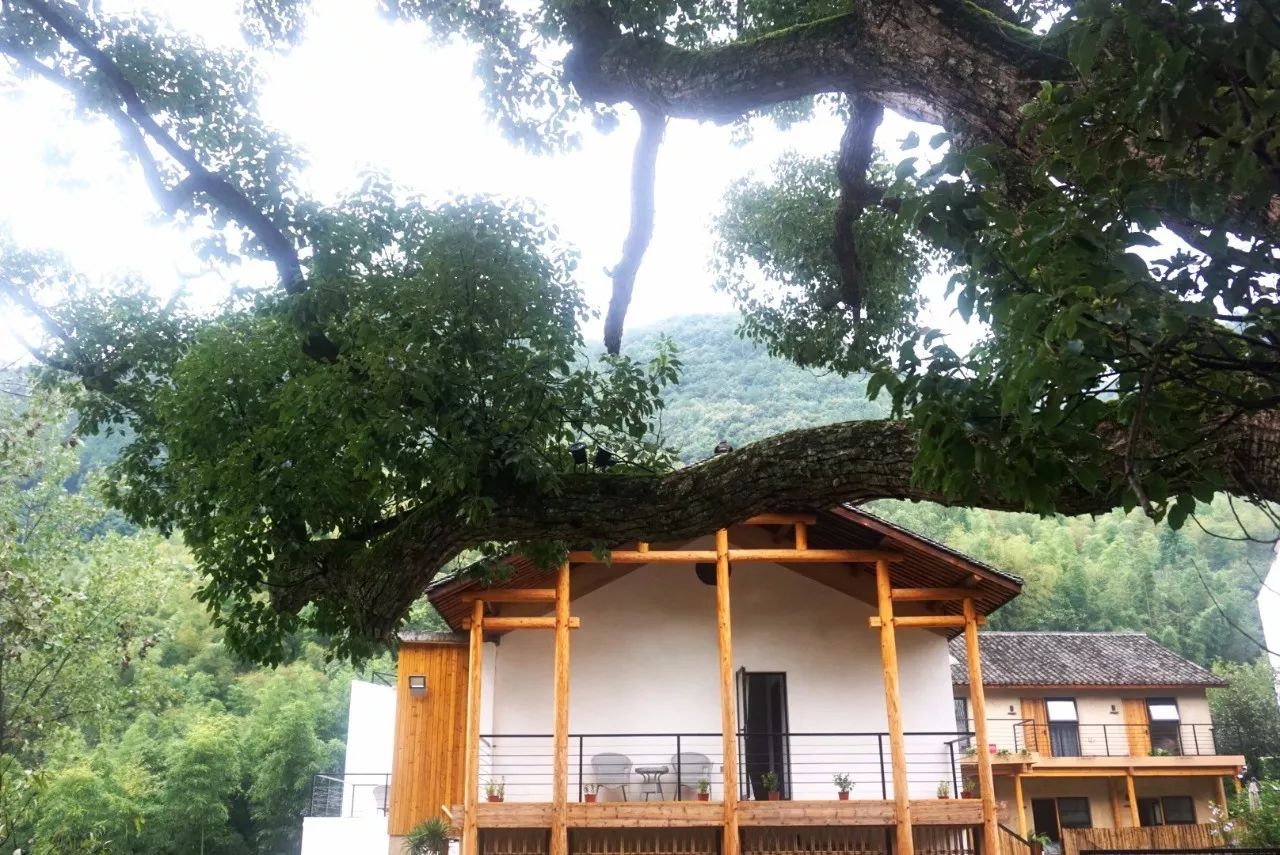 杭州·天方夜潭，給你一個「山脊之巔」的舞臺